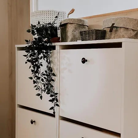 Del Linz * Ljubljana